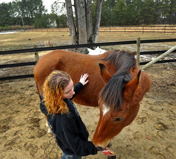 17 Best images about Equine Therapy on Pinterest