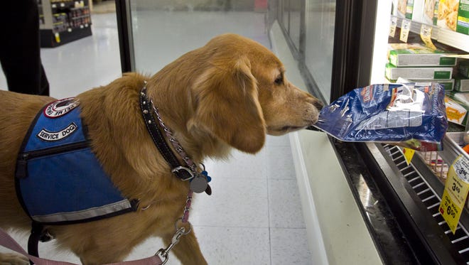 Arizona imposes fines for people who lie about service animals