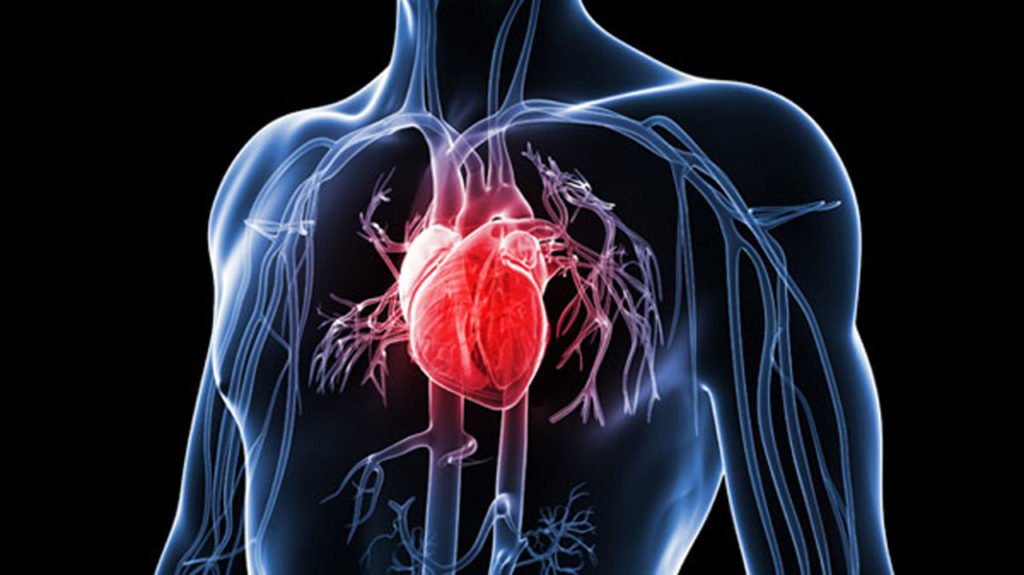 Disability Claims for Heart Disease