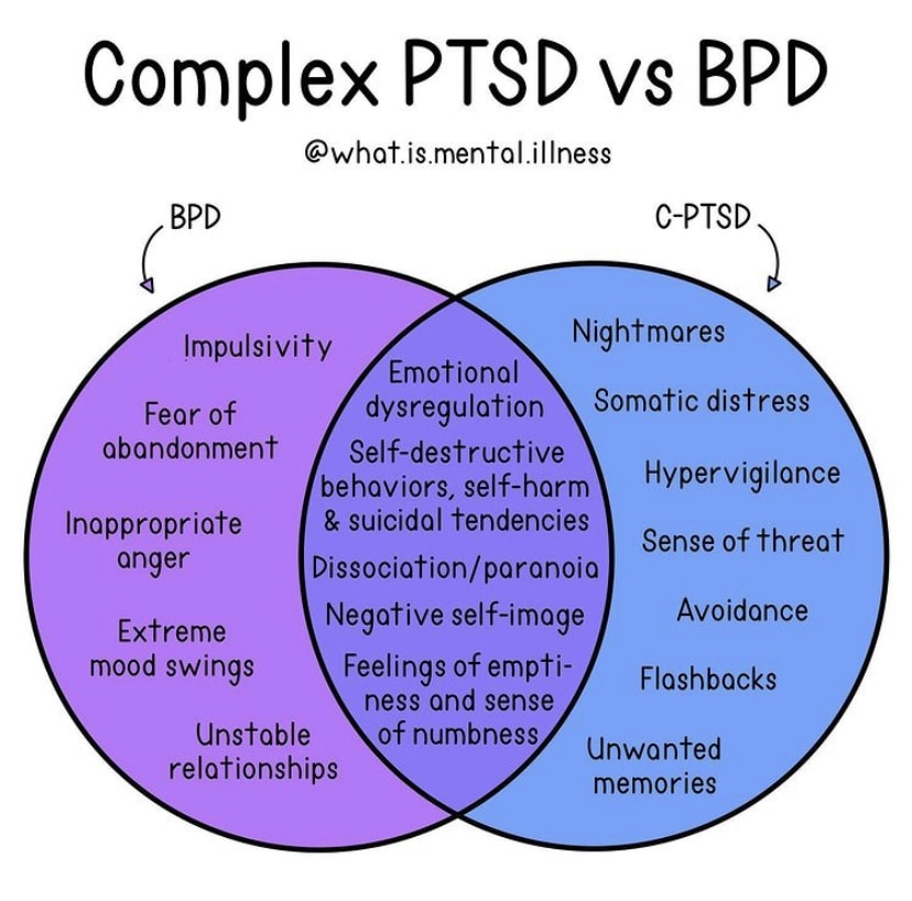 Do you have borderline personality disorder or complex PTSD?  Reparent ...