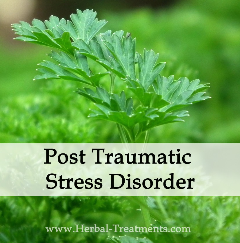 Herbal Medicine for Post Traumatic Stress Disorder
