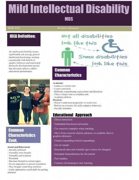 Mild Intellectual Disability Fact Sheet # ...