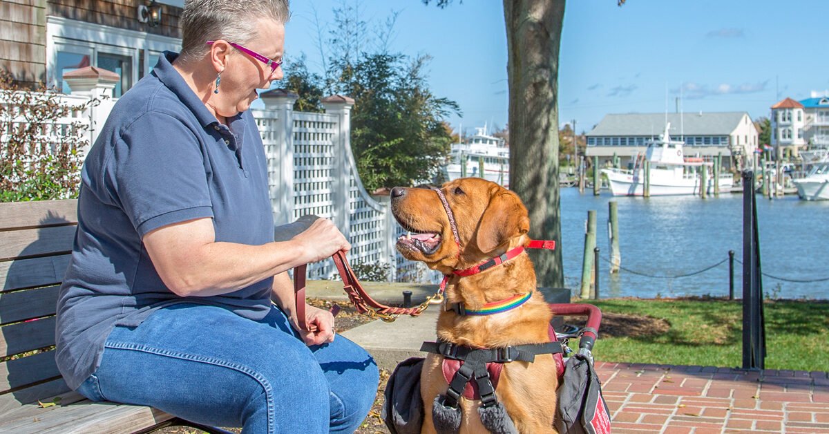 MS Service Dogs: How a Furry Support System Could Be a ...