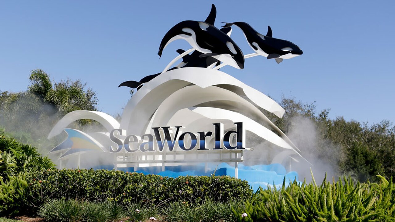 SeaWorld offers free admission to military, veterans