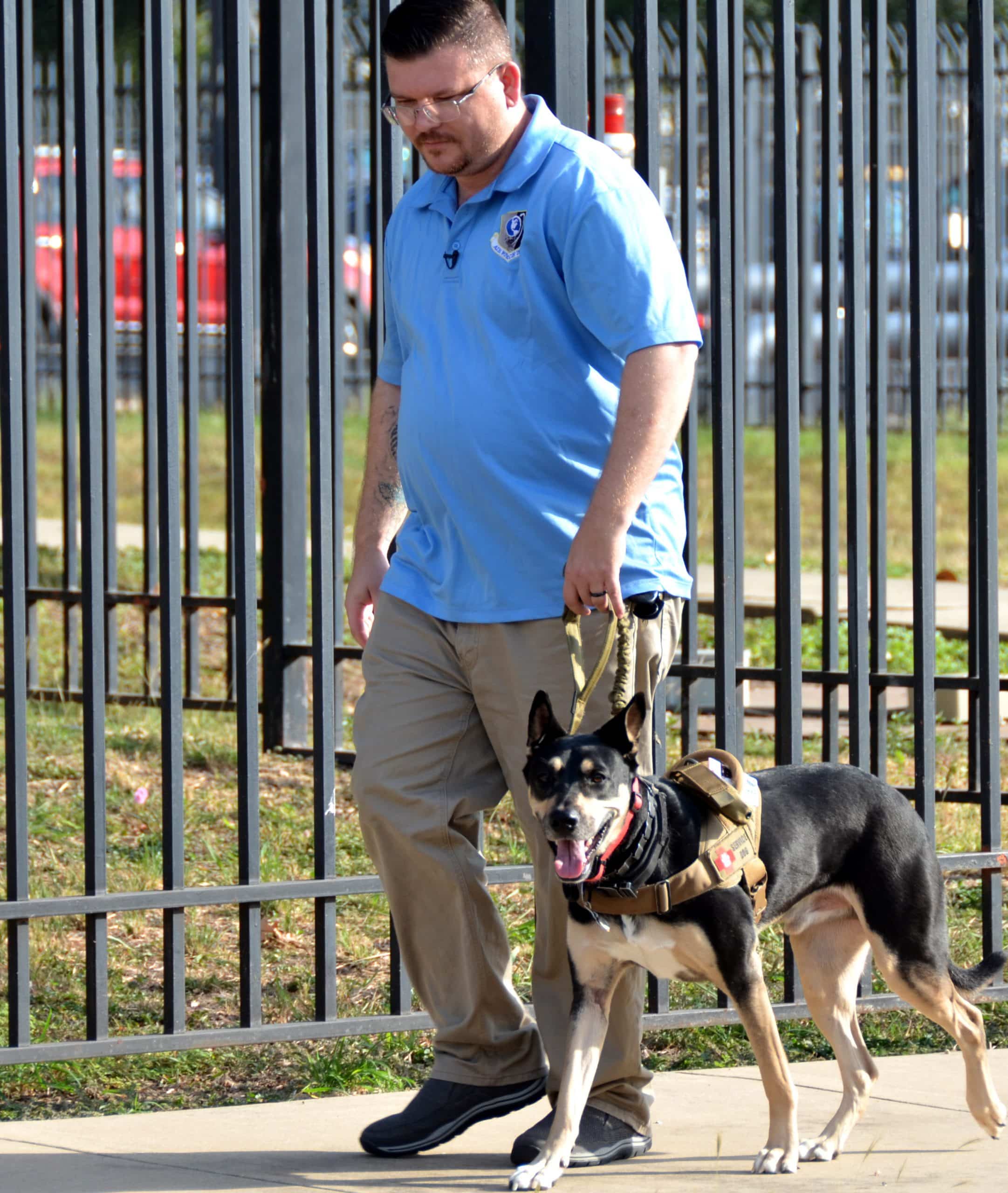 service dog helps veteran with ptsd part 2 u s air force article scaled