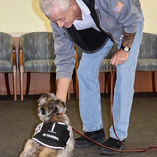 Service Dog Training Program for Veterans with PTSD