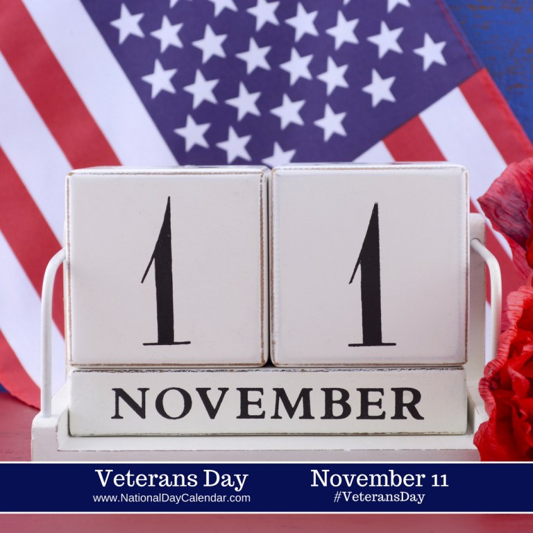The History Of Veterans Day (Video)