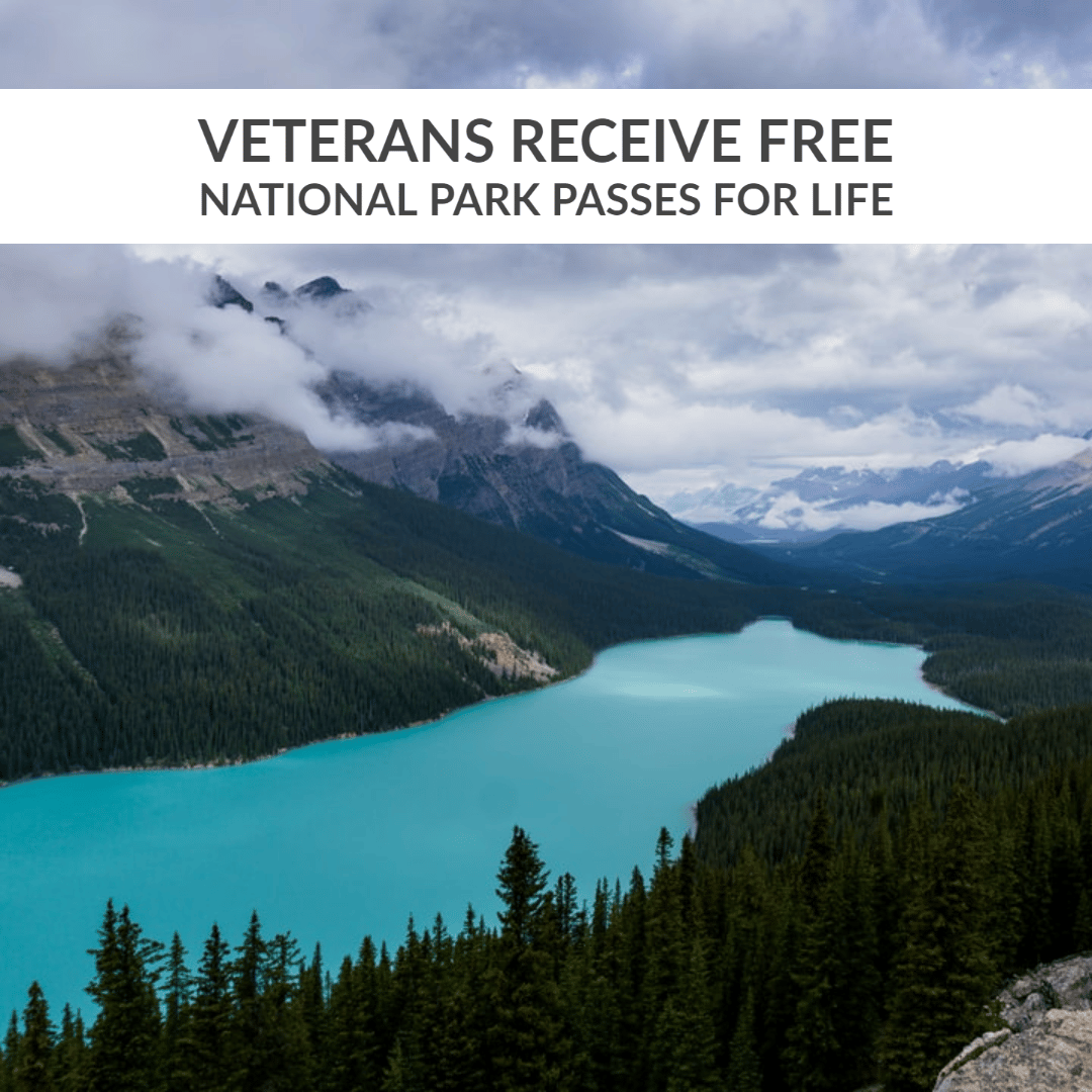 U.S. Veterans to Receive Free National Park Passes for Life