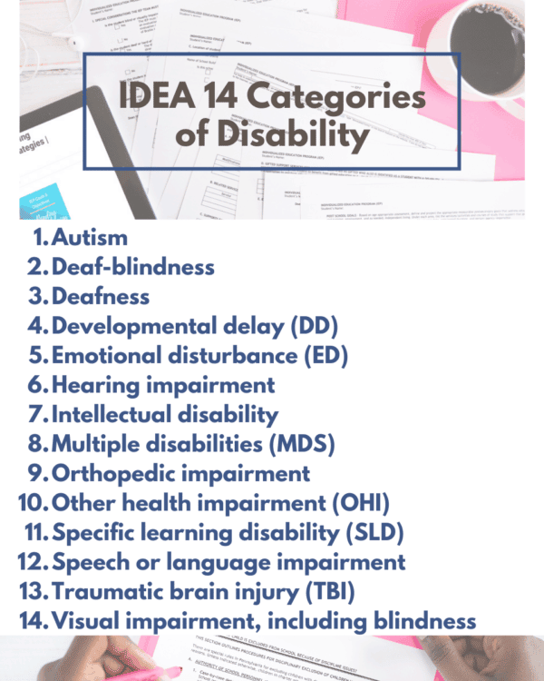 What Are the 14 Categories of Disabilities? Does it Matter Which Box is ...